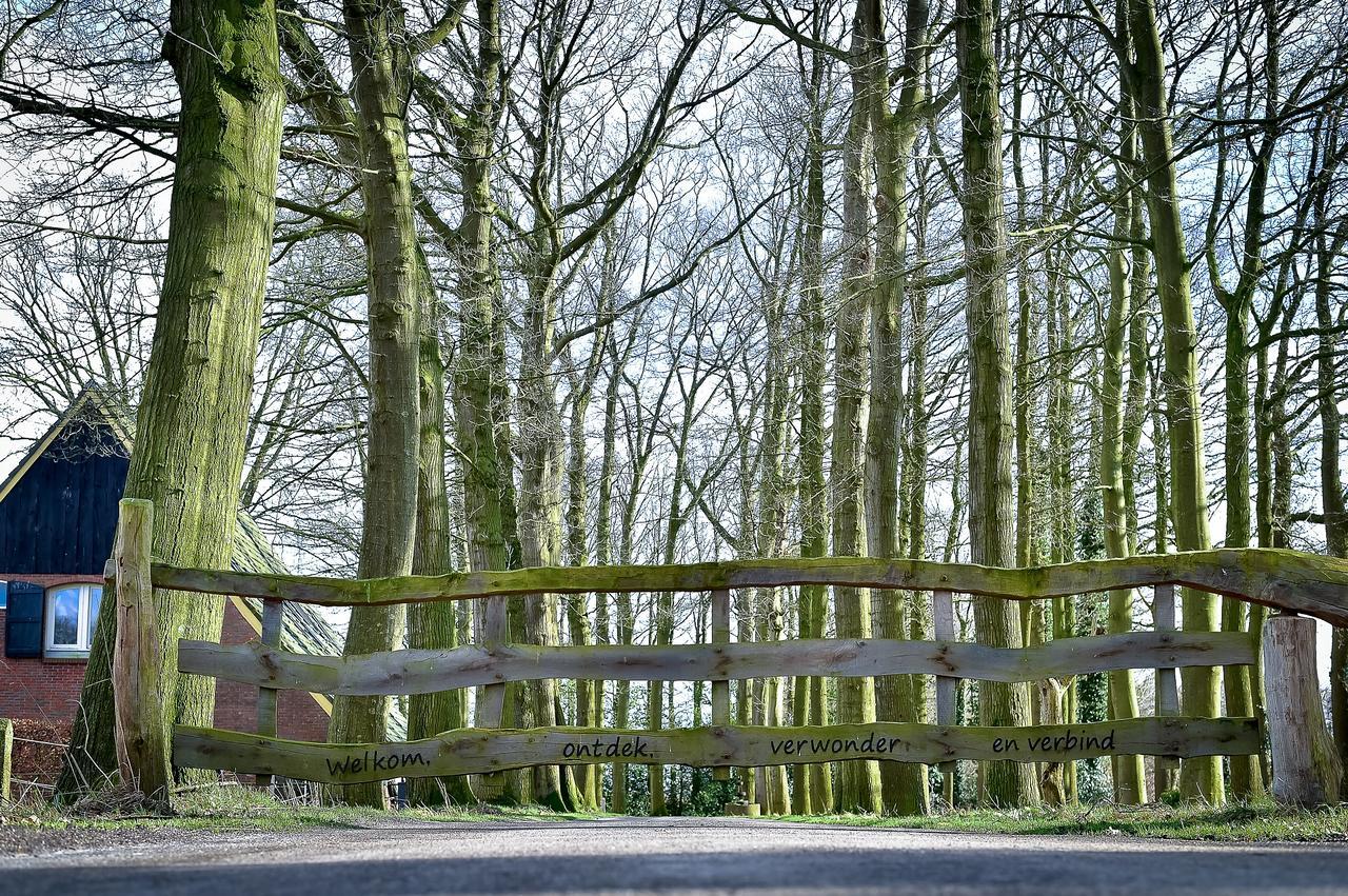De Woeste Wieven Op Erve Bonkert Diepenheim ภายนอก รูปภาพ